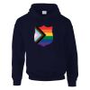 DryBlend® adult hooded sweatshirt Thumbnail