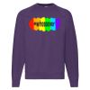 Classic 80/20 raglan sweatshirt Thumbnail